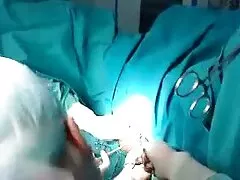 いくつかの愛を性交する女性 エッチ 無料 動画 イケメン