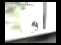 鋳造するとき,雌犬,トランクにジャンプ おっぱい 動画 イケメン